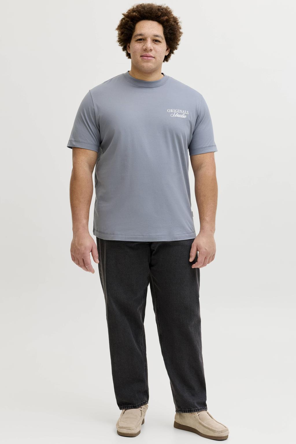 Grijsblauwe heren JACK & JONES PLUS SIZE regular T-shirt Plus Size blauw van katoen met backprint en korte mouwen