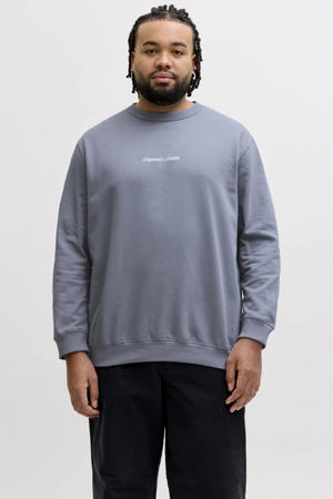 sweater Plus Size grijsblauw