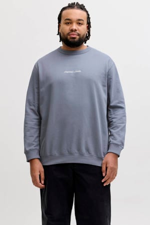 sweater Plus Size grijsblauw