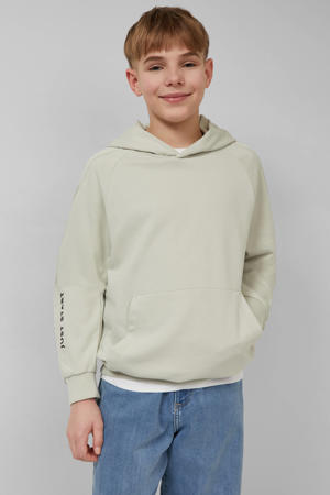 hoodie lichtgrijs