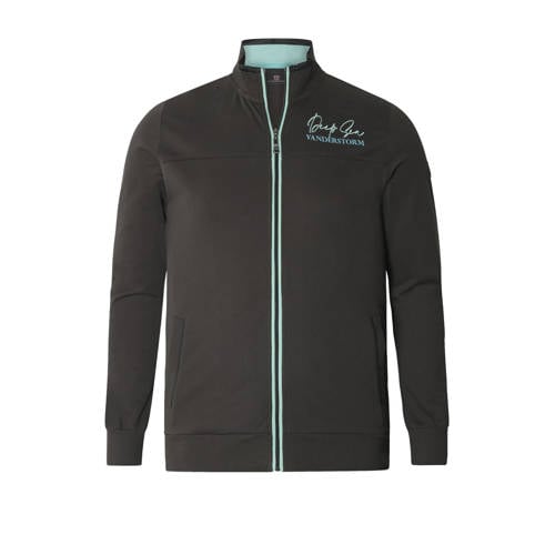 Jan Vanderstorm sweatvest Plus Size JAVALD grijs afbeelding