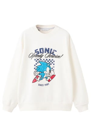 Sonic sweater wit