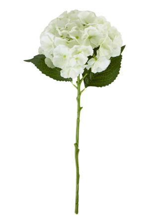 kunsttak Hydrangea