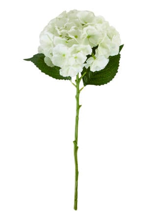 kunsttak Hydrangea