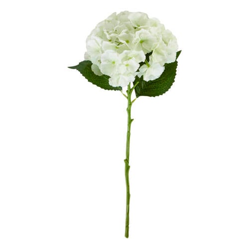 House Doctor kunsttak Hydrangea afbeelding