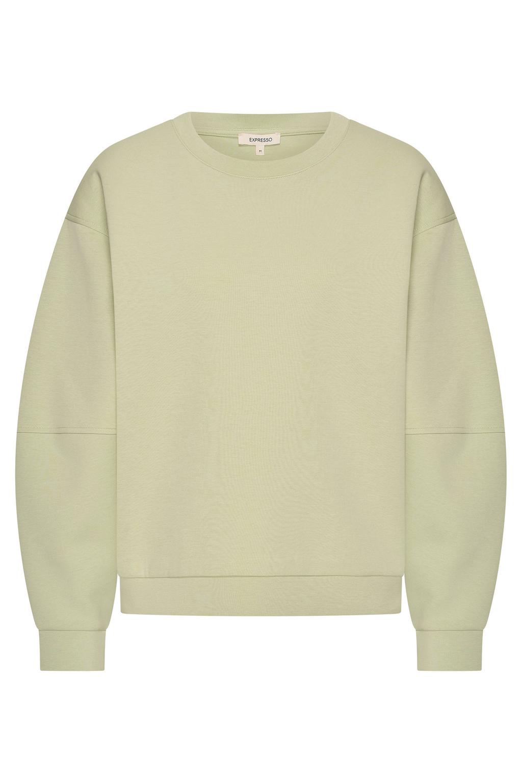 Lichtgroene dames Expresso sweater gebreid van katoen met effen, lange mouwen en ronde hals