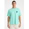 CHASIN' relaxed T-shirt met backprint cyaan