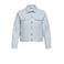 ONLY CARMAKOMA denim spijkerjas lichtblauw