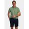 New Zealand Auckland regular polo groen