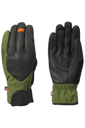 skihandschoenen Harlingen zwart/groen