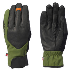 skihandschoenen Harlingen zwart/groen