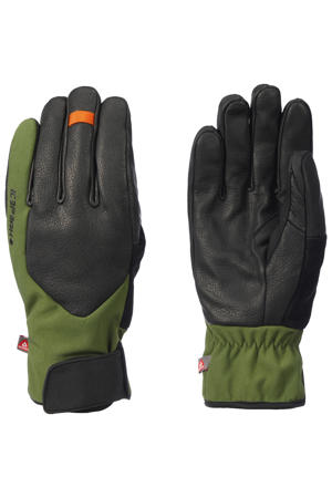 skihandschoenen Harlingen zwart/groen