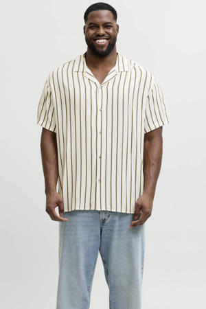 regular gestreepte casual overhemd gebreid Plus Size ecru