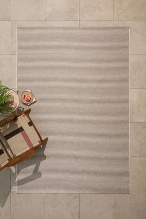 binnen- en buitenvloerkleed beige (290x200 cm)