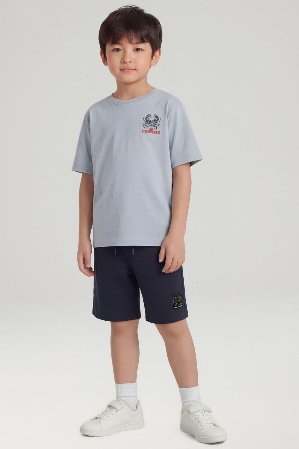 Lichtblauwe jongens NAME IT KIDS T-shirt van katoen met backprint, korte mouwen en ronde hals