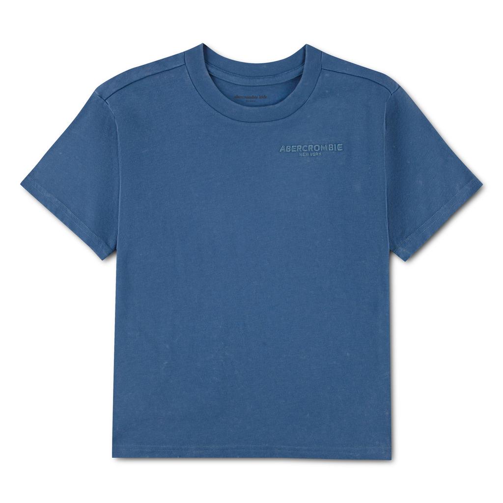 Blauwe jongens Abercrombie & Fitch jersey T-shirt met effen, korte mouwen en ronde hals