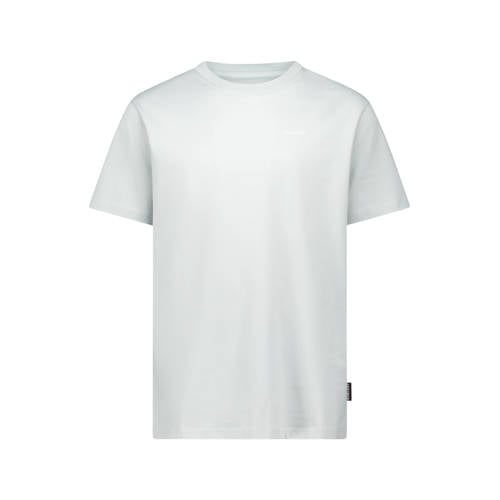 Airforce regular T-shirt lichtgroen afbeelding