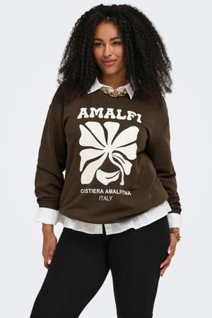 sweater donkerbruin