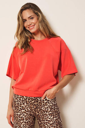 top rood