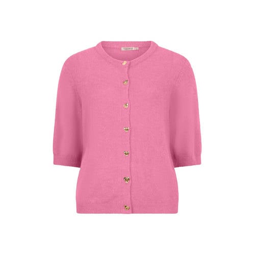 Esqualo gebreid vest met hartjes roze afbeelding