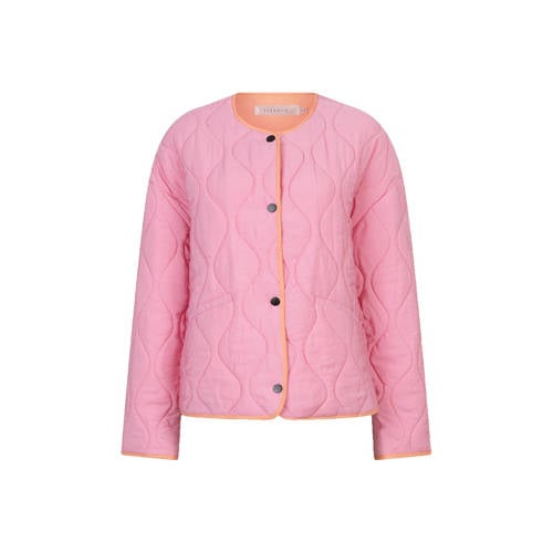 Esqualo jack roze afbeelding
