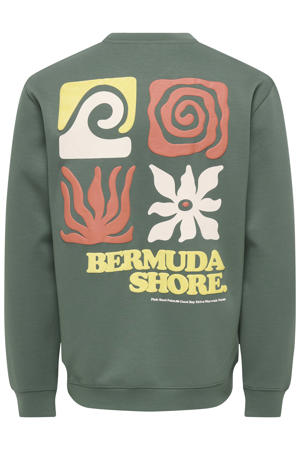 Gratis Breipatroon Raglan Sweater Sandnes Garn (EN) | Online bij de Breiboerderij