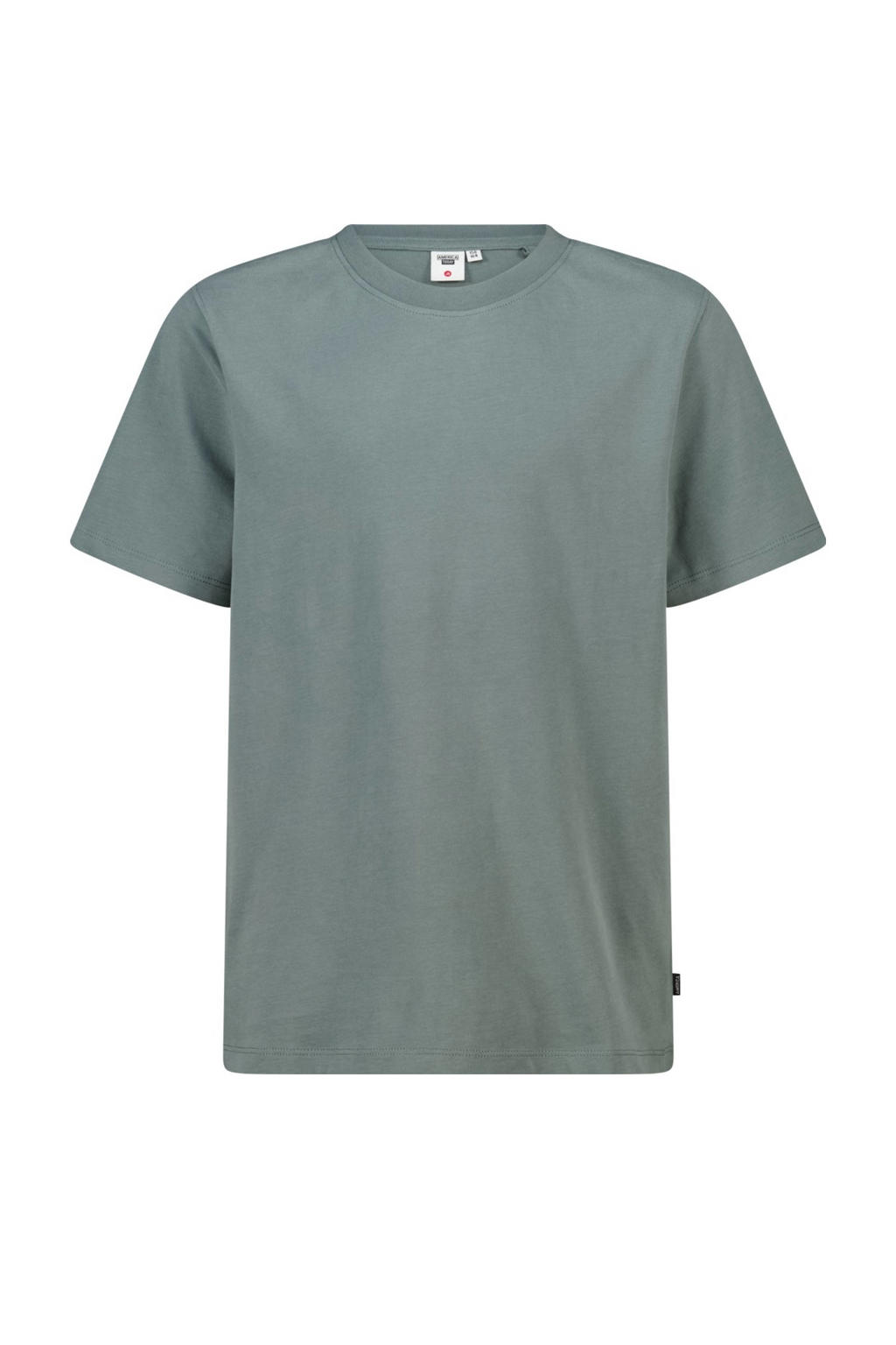 Grijze jongens America Today T-shirt van katoen met effen, korte mouwen en ronde hals
