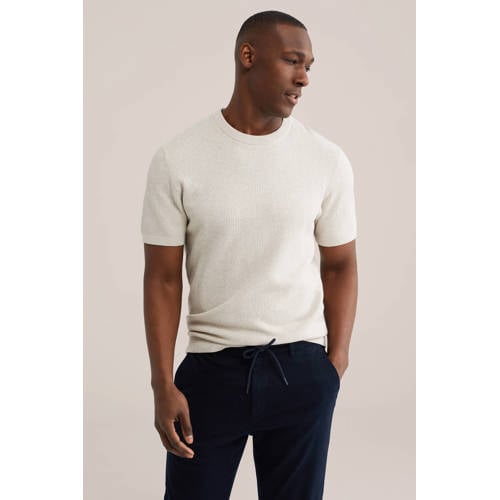 WE Fashion regular T-shirt met ingebreid patroon grijs afbeelding