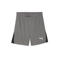 Puma voetbalshort grijs