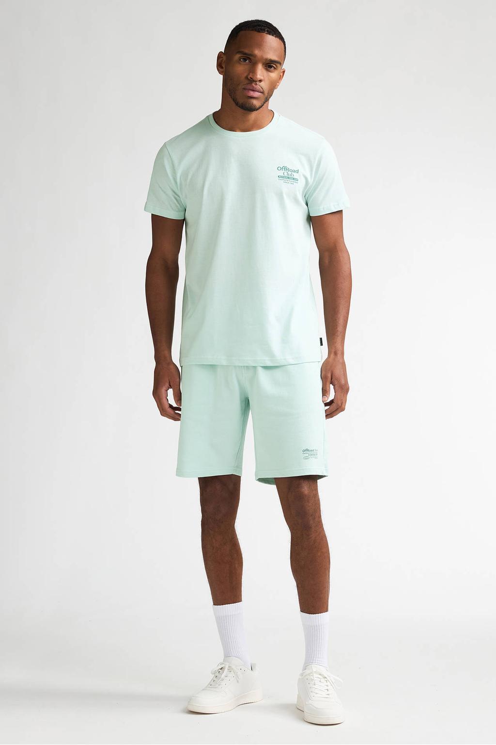 Mintgroene heren Petrol Industries regular T-shirt van katoen met backprint, korte mouwen en ronde hals