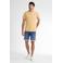 Petrol Industries denim slim short light used