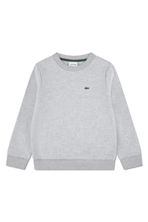 sweater grijs