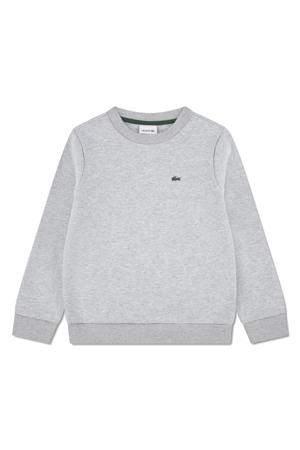 sweater grijs