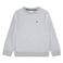 Lacoste sweater grijs