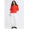ICHI top rood