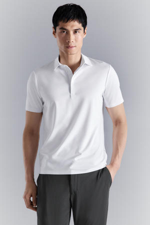 regular polo wit