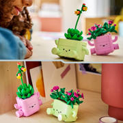 thumbnail: LEGO Botanical Collection Schommelende Plantjes Bloemen Bouwpakket 11506
