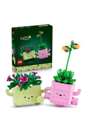 Schommelende Plantjes Bloemen Bouwpakket 11506