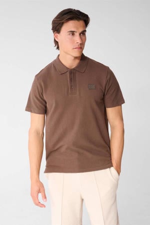regular polo bruin