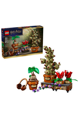 Zweinstein™ Kruidenkunde planten 76474