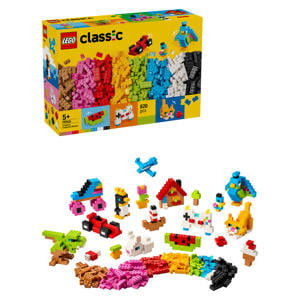 Kleurrijke creatieve stenen 11045