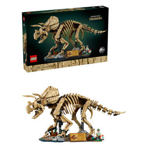 Dinosaurusfossielen: Triceratops 77985