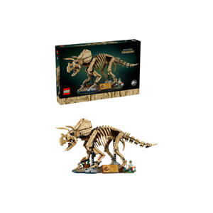 Dinosaurusfossielen: Triceratops 77985