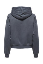 thumbnail: ONLY hoodie