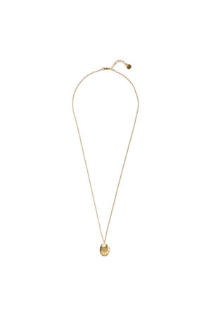 ketting Oval Locket goudkleurig