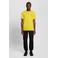 Lyle & Scott regular T-shirt geel