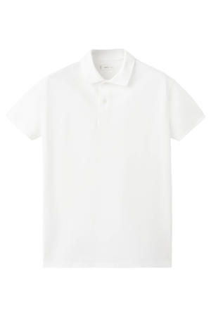polo wit