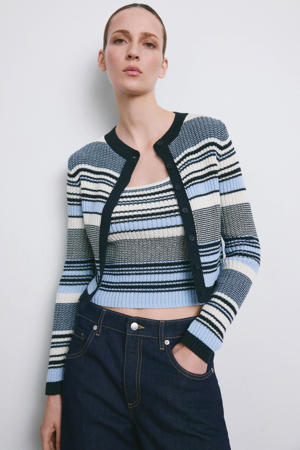 gestreepte vest blauw grof gebreid