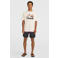 O'Neill t-shirt wit