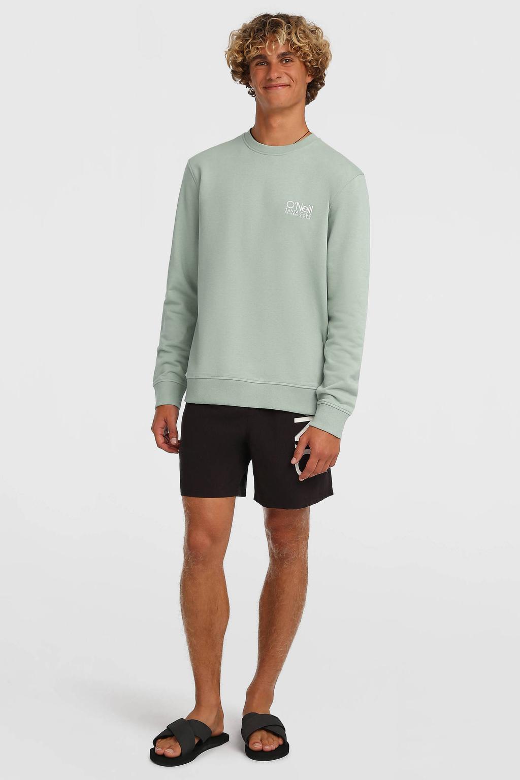 Mintgroene heren O'Neill sweater van katoen met effen, lange mouwen en ronde hals
